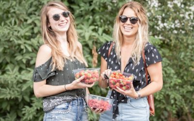 What to expect at Rectory Farm in 2022