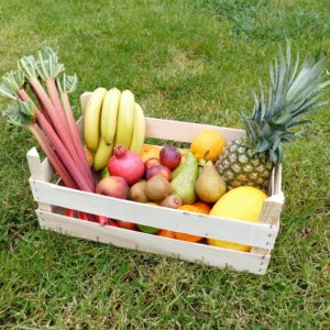 fruit box large