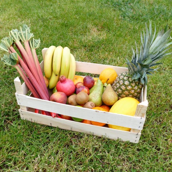 fruit box large