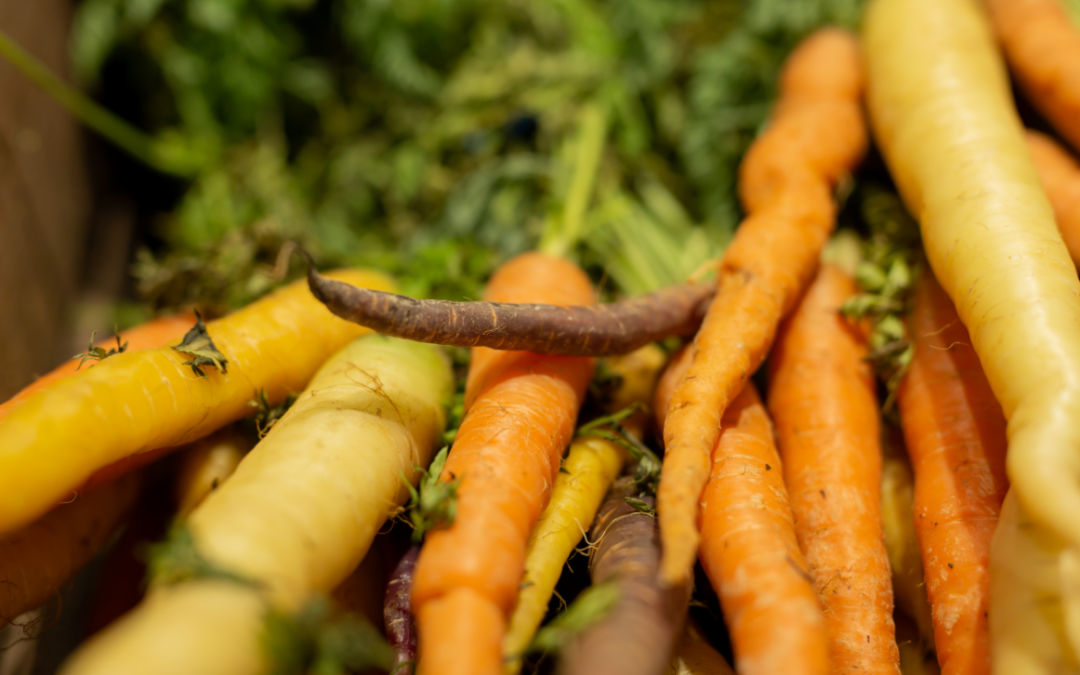 Reducing Oxfordshire’s Food Waste: Guest Post
