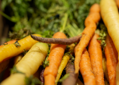 Reducing Oxfordshire’s Food Waste: Guest Post