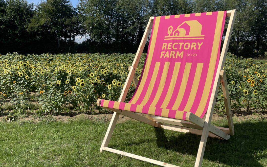 HAVE YOU SEEN OUR GIANT DECKCHAIR?