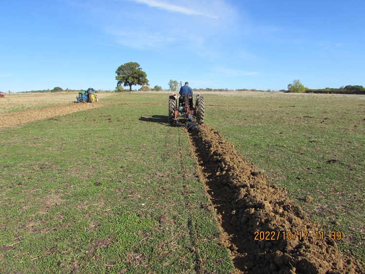 VINTAGE PLOUGHING MATCH AT THE FARM THURSDAY 28TH DECEMBER